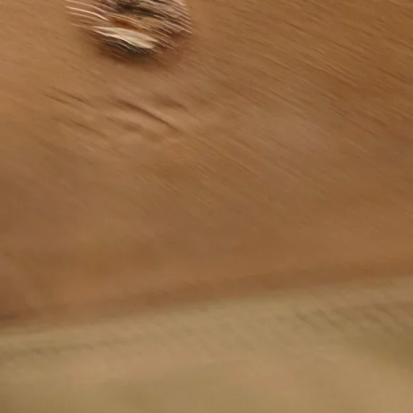 Large Le Pliage Nylon Tote & small Le Pliage Nylon Tote - Picture 11 of 16